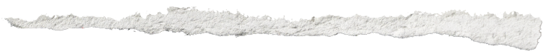 Ripped sheet of paper