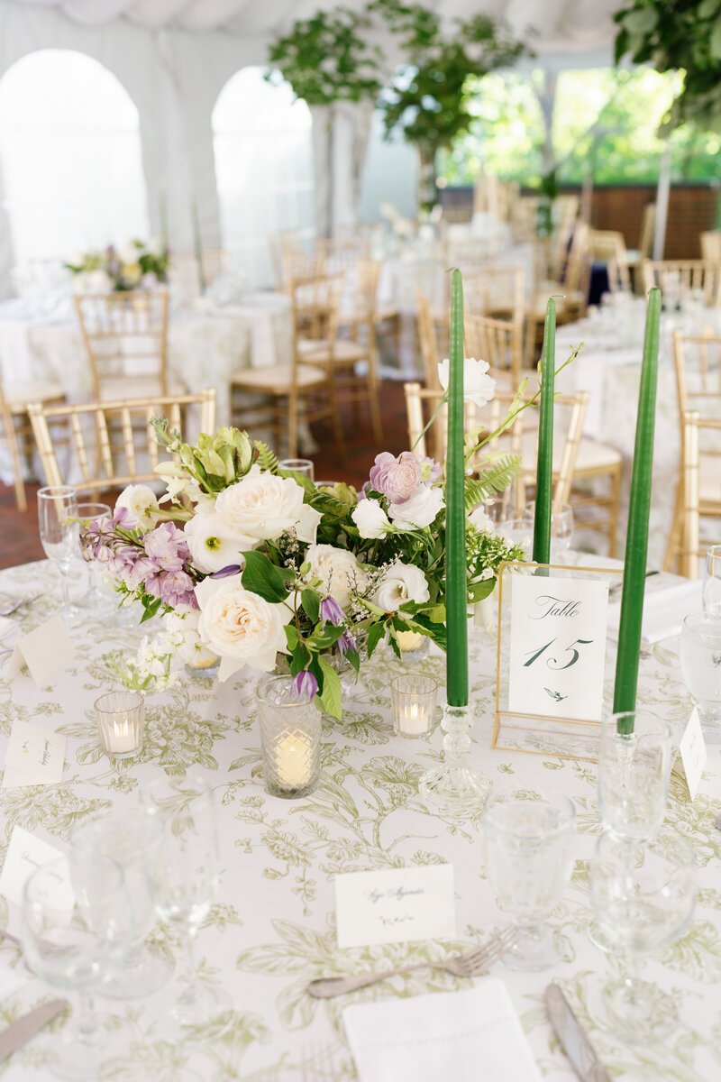 hollynoelphoto-RoyDay2-388