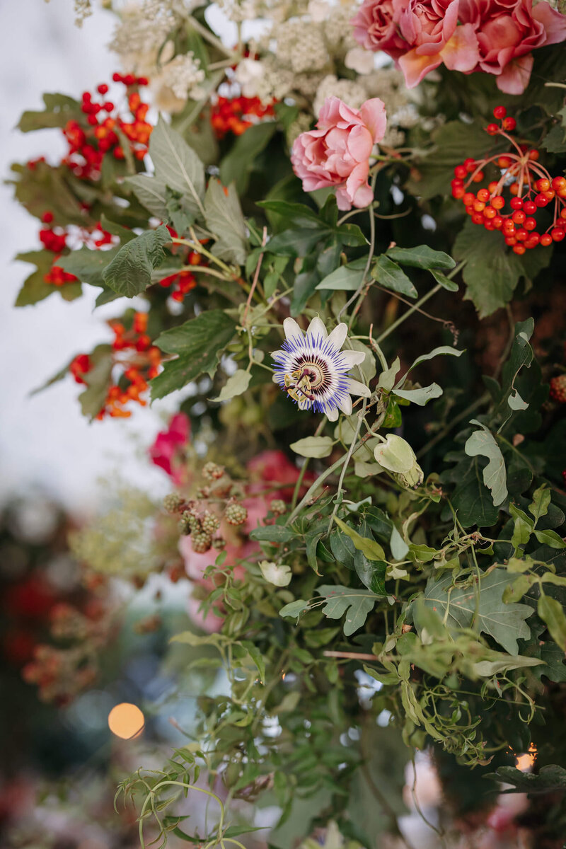 Carinthia&Fin, Lara&BizzyArnott, August 06, 2022, 937