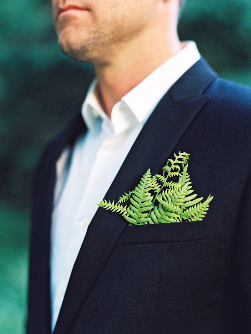 Fern_184