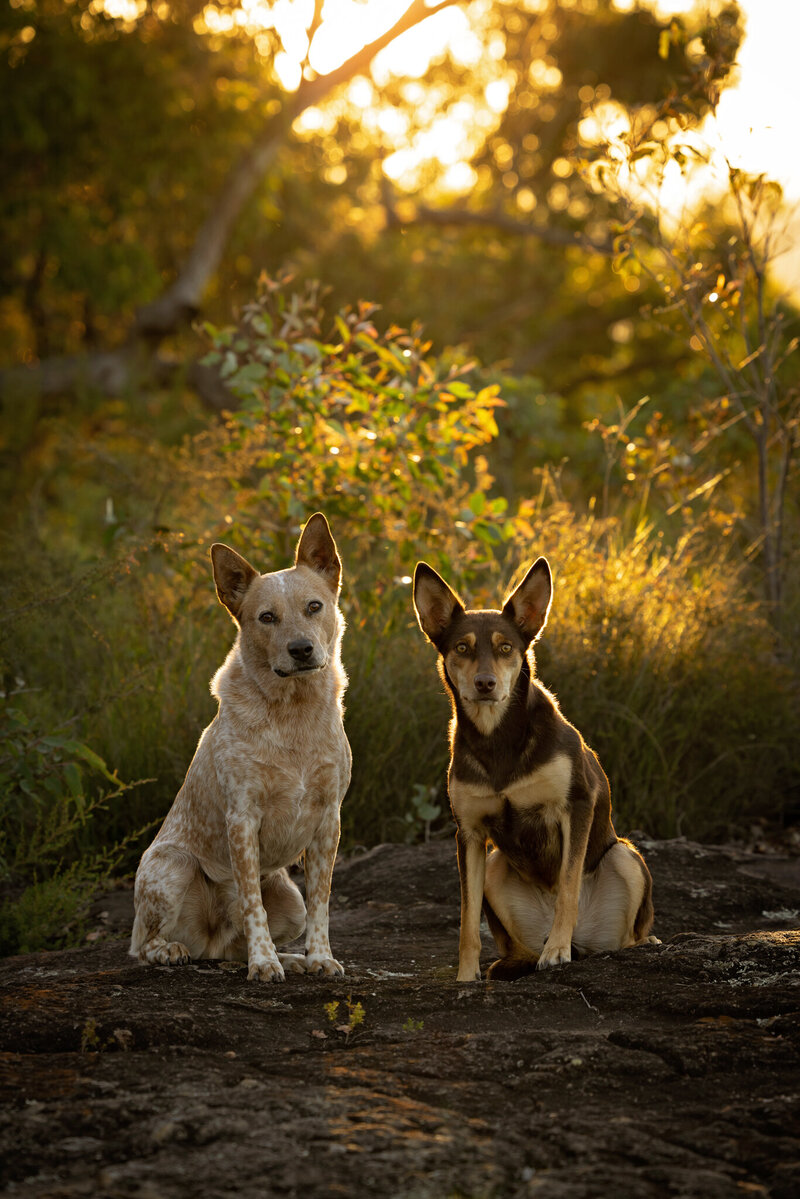 Melbourne-Family-Photographer30