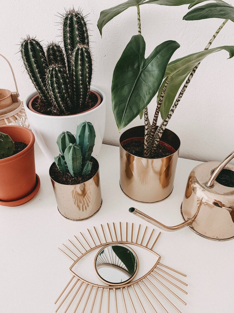 Boho plants gold pots eye shaped mirror