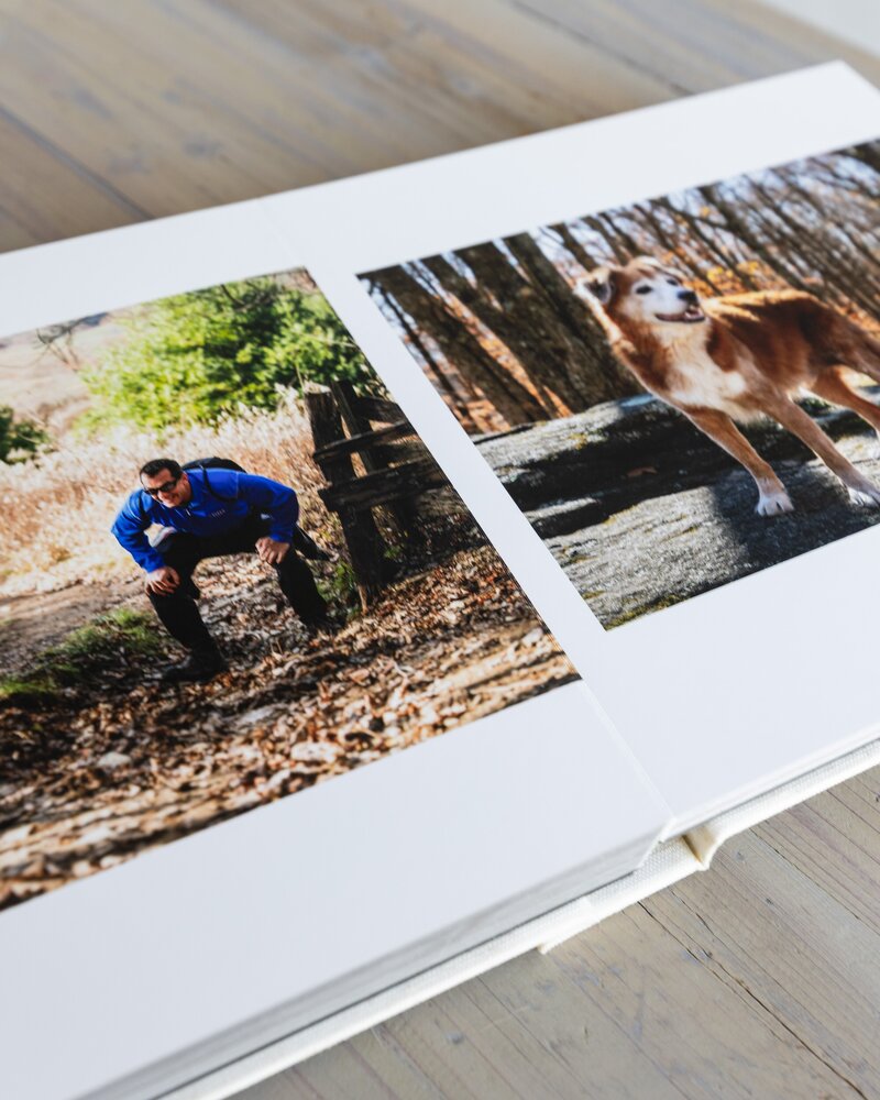 Dog Heirloom story album