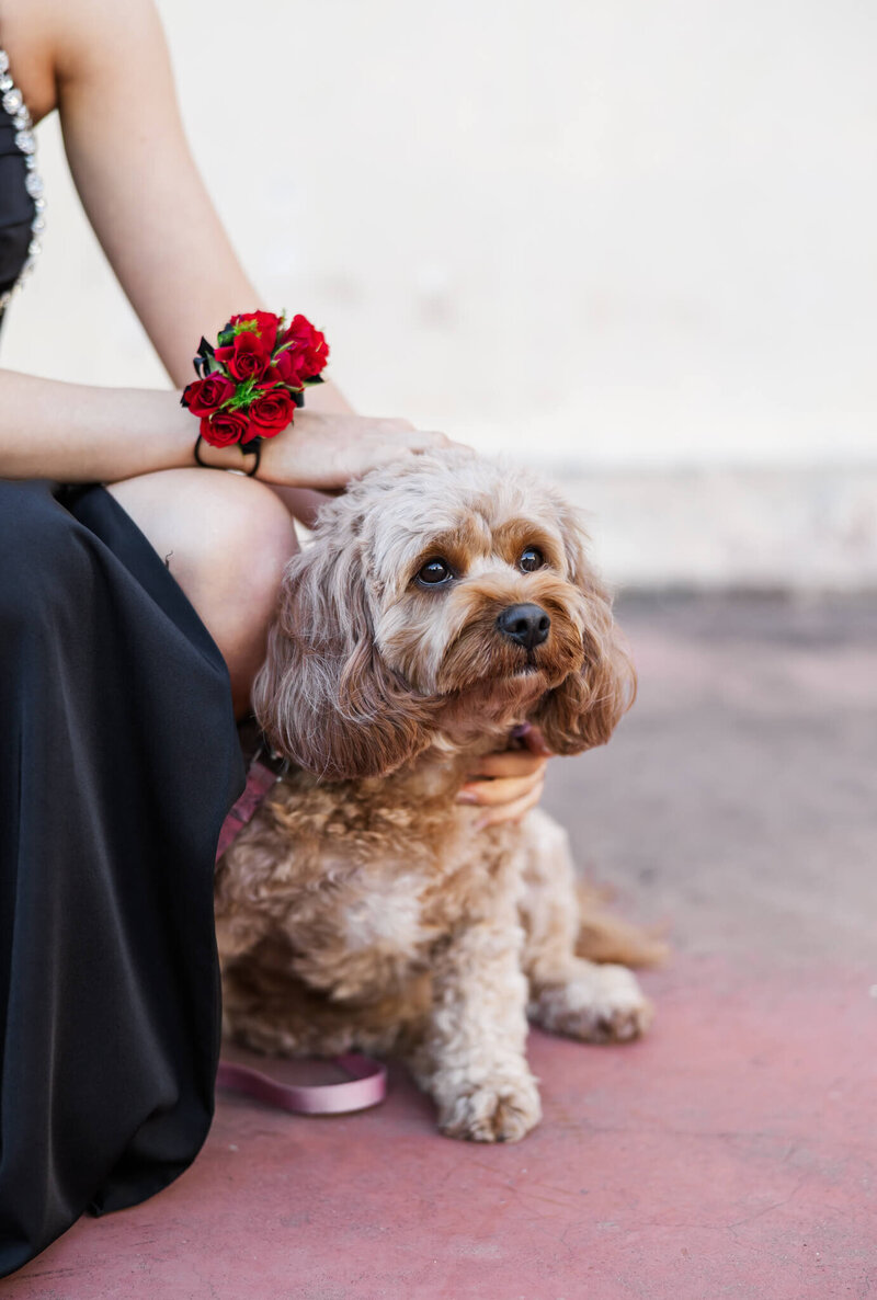 Rockhampton-Formal-Photographer-4668