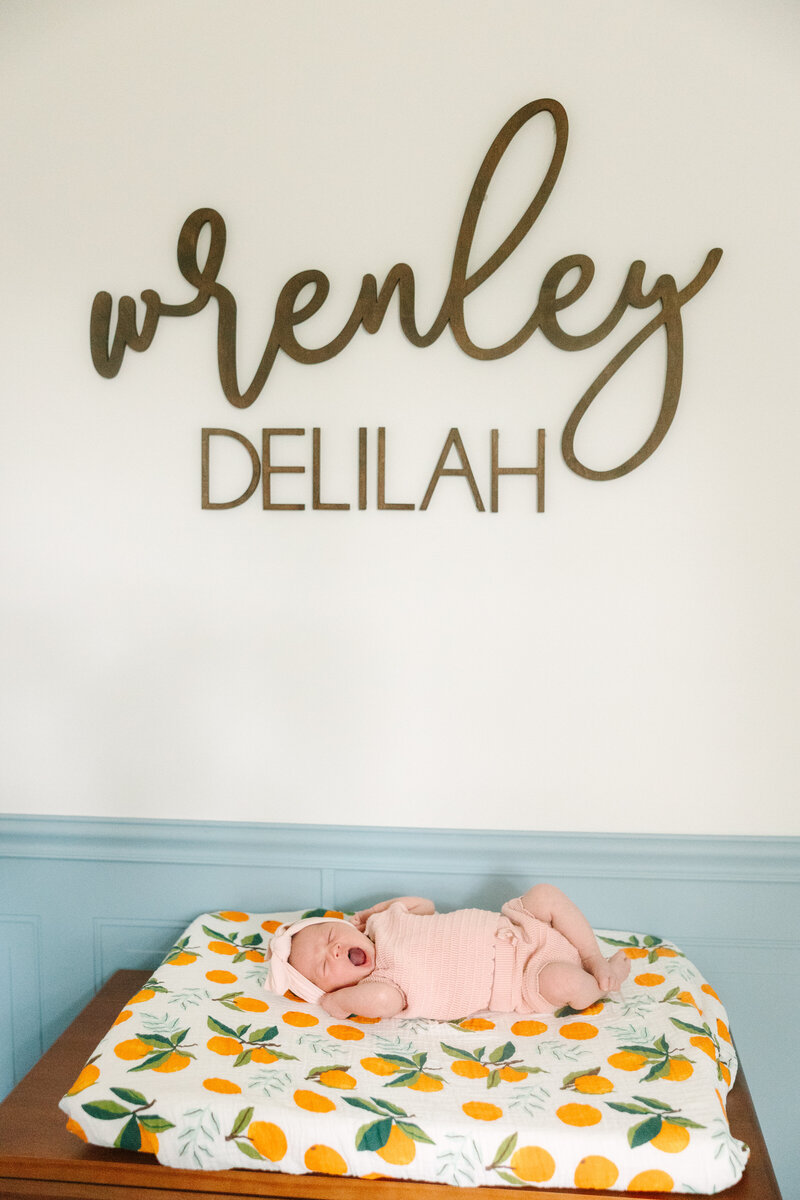 laura perez photography llc Jacksonville Ashley newborn session lifestyle st augustine-195