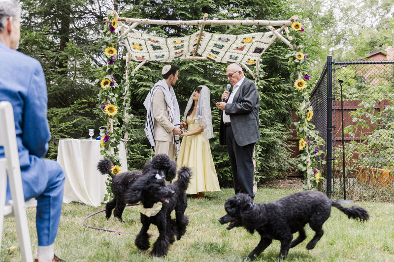 Beacon based Hudson Valley wedding photos focused on authenticity, warmth, and real laughter for backyard events