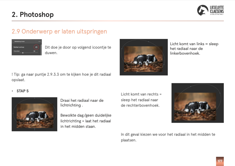 Scherm­afbeelding 2025-03-24 om 17.25.39