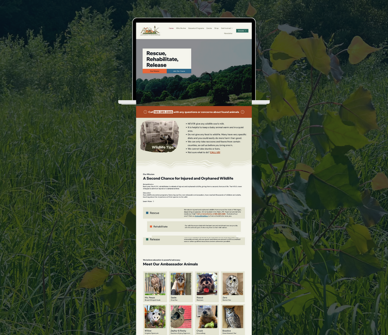 Immersive Brand & Web Services | Spellbound Creative Studio