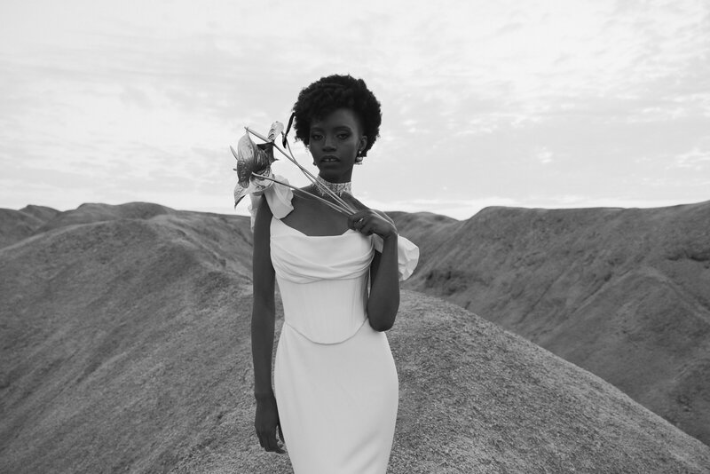 Safari wedding elopement in Namibia 