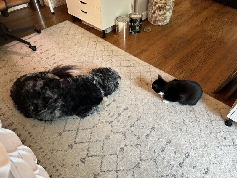 24B6B1A9-44CA-426A-99C5-550A51D9C293_1_105_c