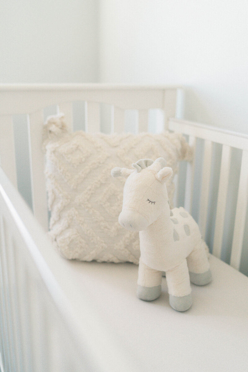 Peaceful at-home newborn session in South Jordan, photographed by South Jordan newborn photographer.