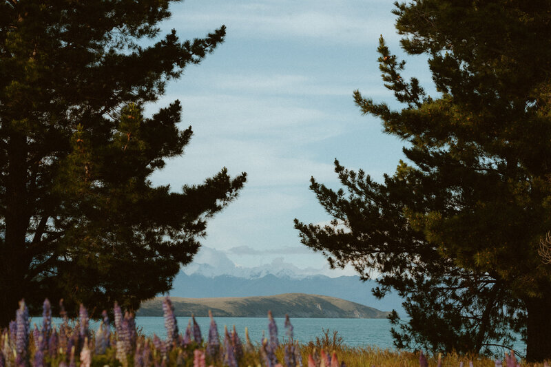 Venture Folk Retreat Watch Me grow Tour 2026 - education for photographers