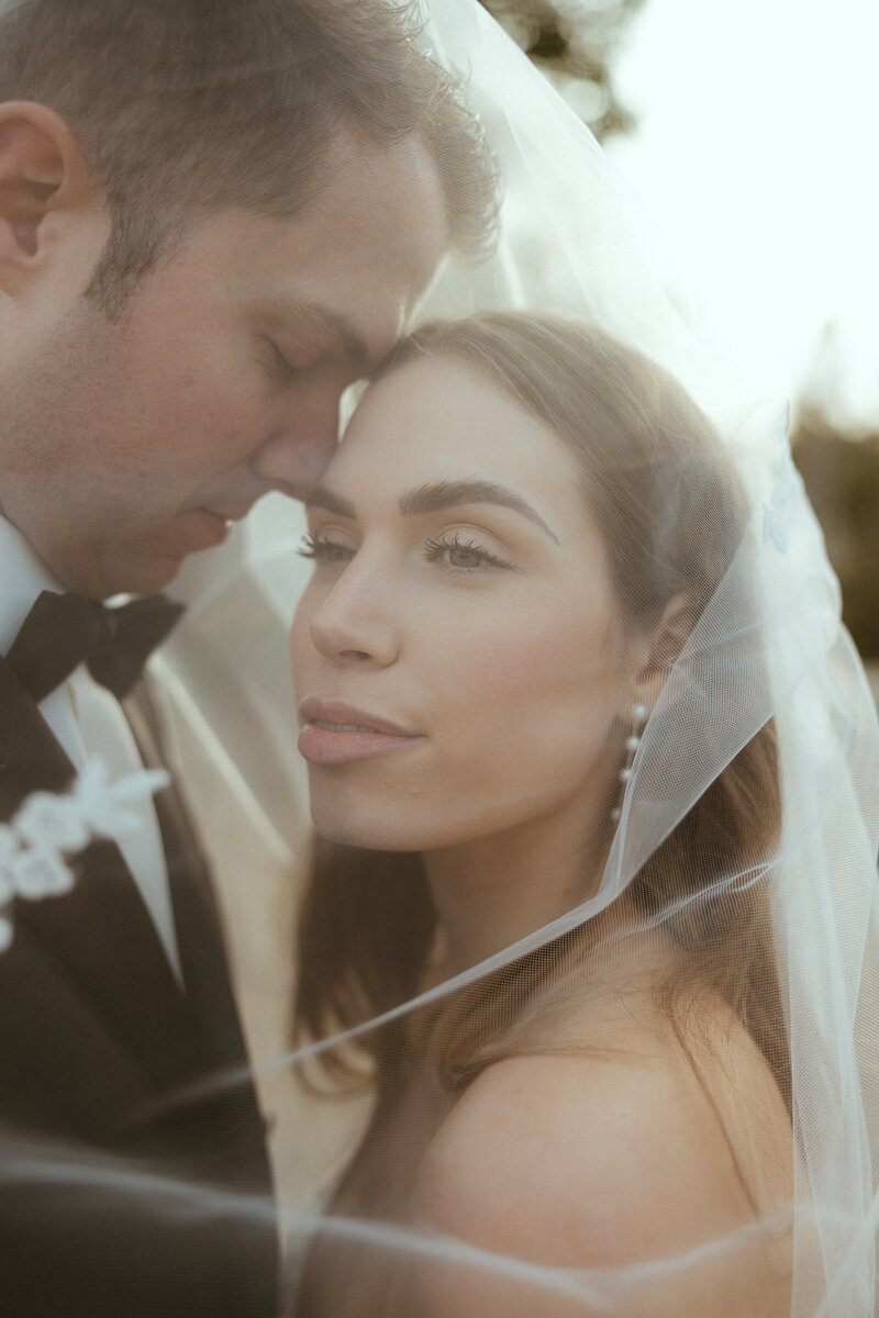 Florida Wedding Couple under a veil.