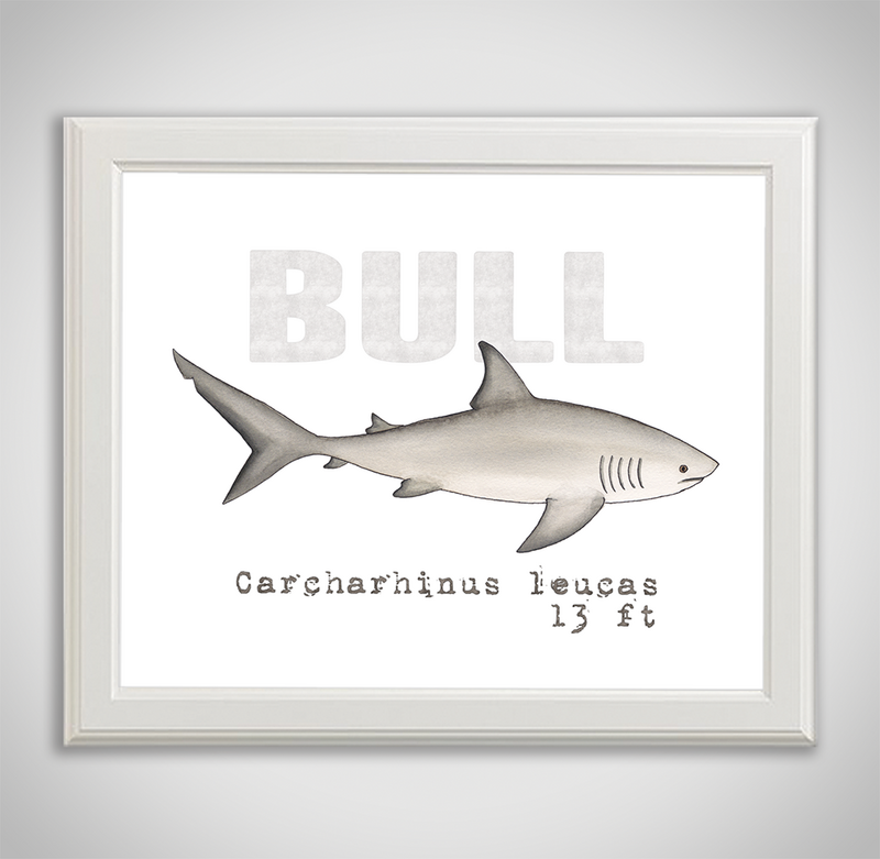 bull-framed