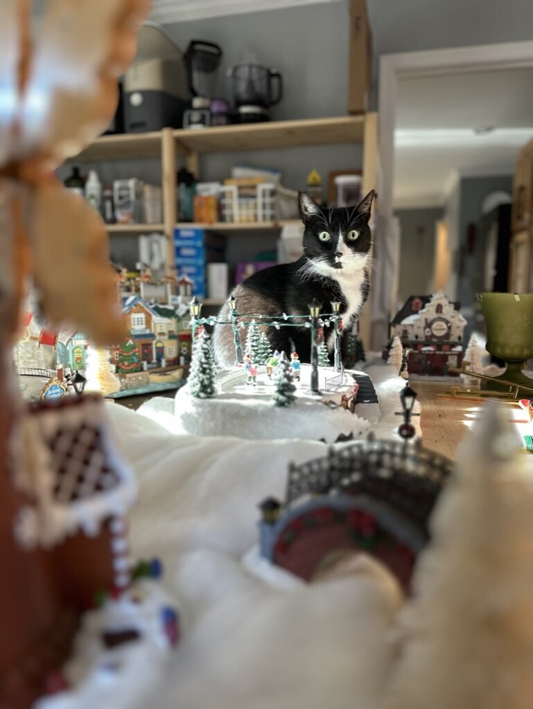 A9CF528B-0116-4369-B20A-38B7524FD950_1_105_c