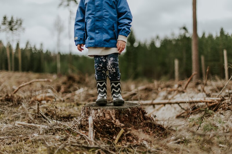 daiga-ellaby-kBObM1seRG4-unsplash