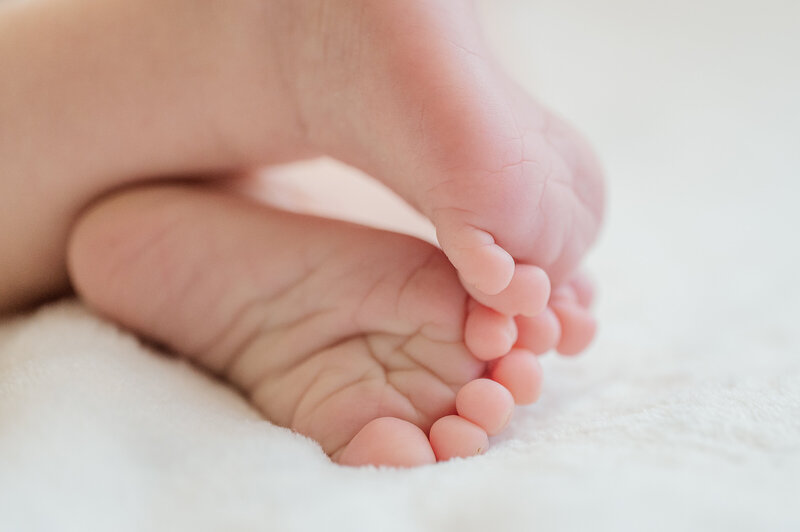 close up of baby feet by baltimore newborn photographer