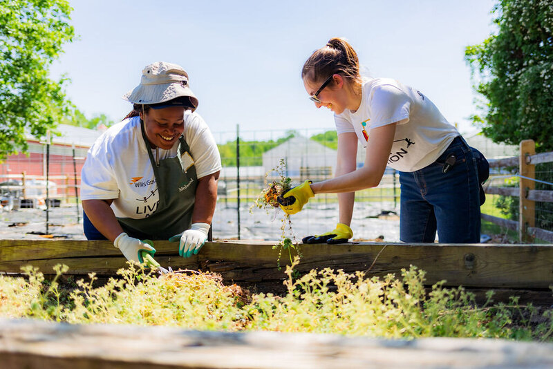 Two people plant in a garden during a coporate outreach event