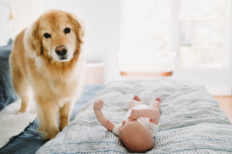 Charlie-newborn-pet-and-newborn-chevy-chase-md