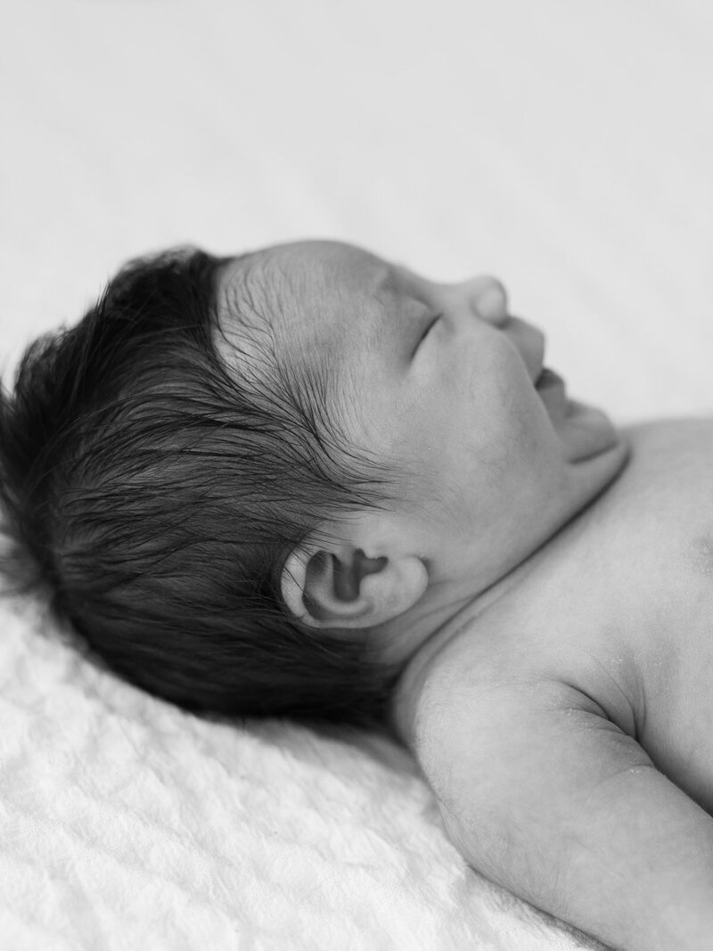 minneapolis-newborn-photographer-bauer-creative (11)