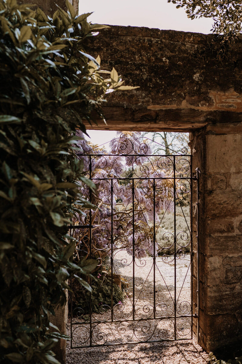 Wrought iron gate in the gardens at Caswell House surrounded by purple flowers