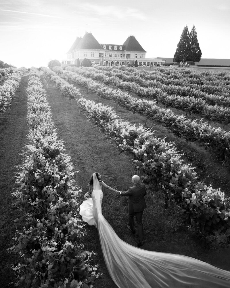 destination-wedding photographer-nick-francis-drone-chateau-elan-vineyards-bw