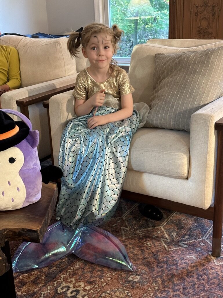 25CC0DF6-9002-4709-9EA6-5C2B14DE1666_1_105_c