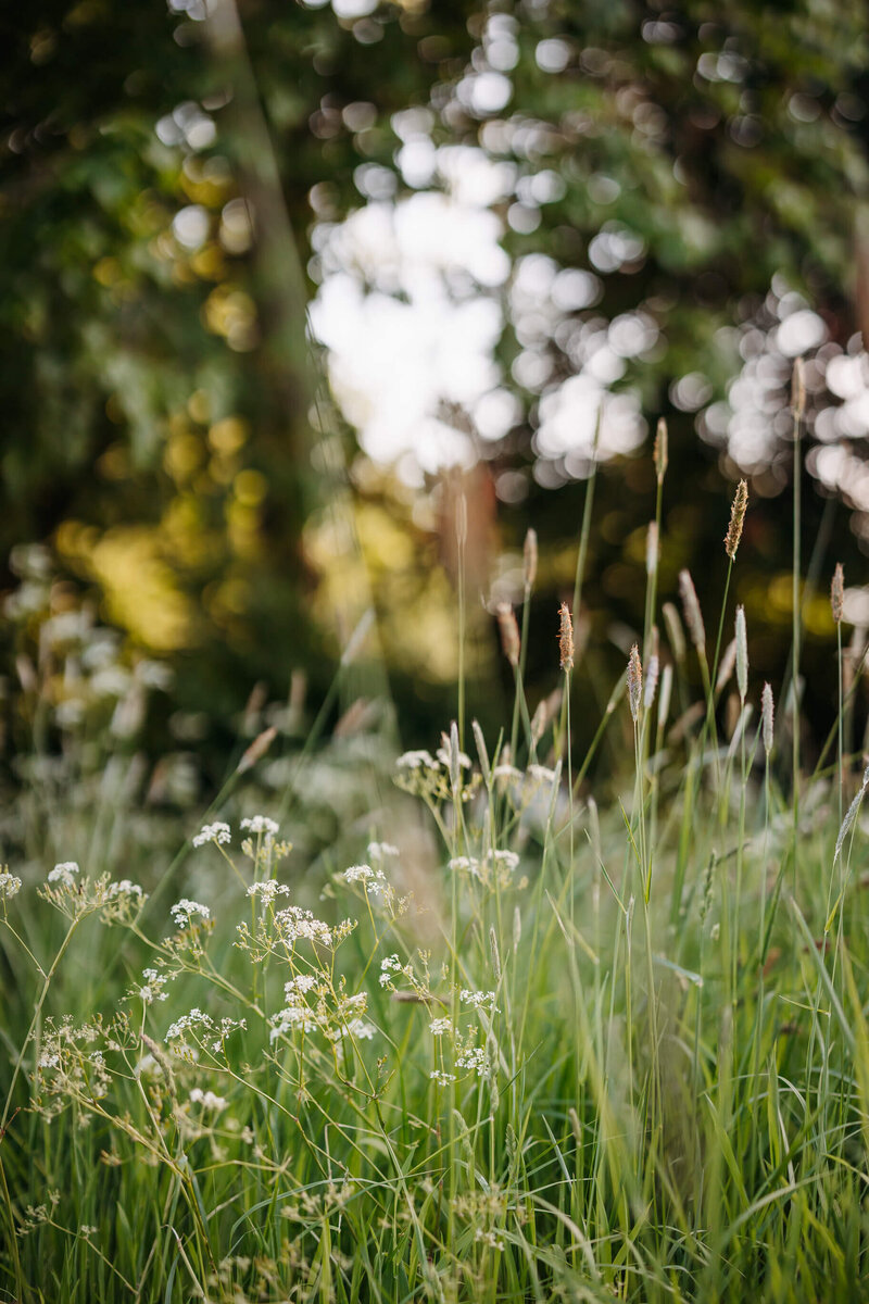 792655883-quicky-sophie-lara-bizzyarnott-may-18-2024-671