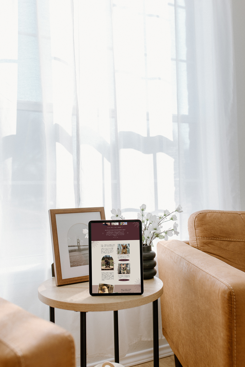 Modern website layout preview created by AQ Design Studio