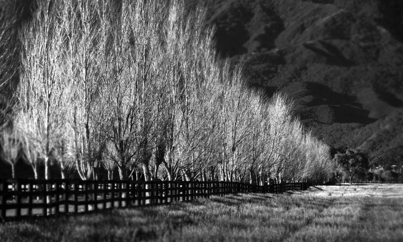 Santa Ynez Valley 308 B&W copy