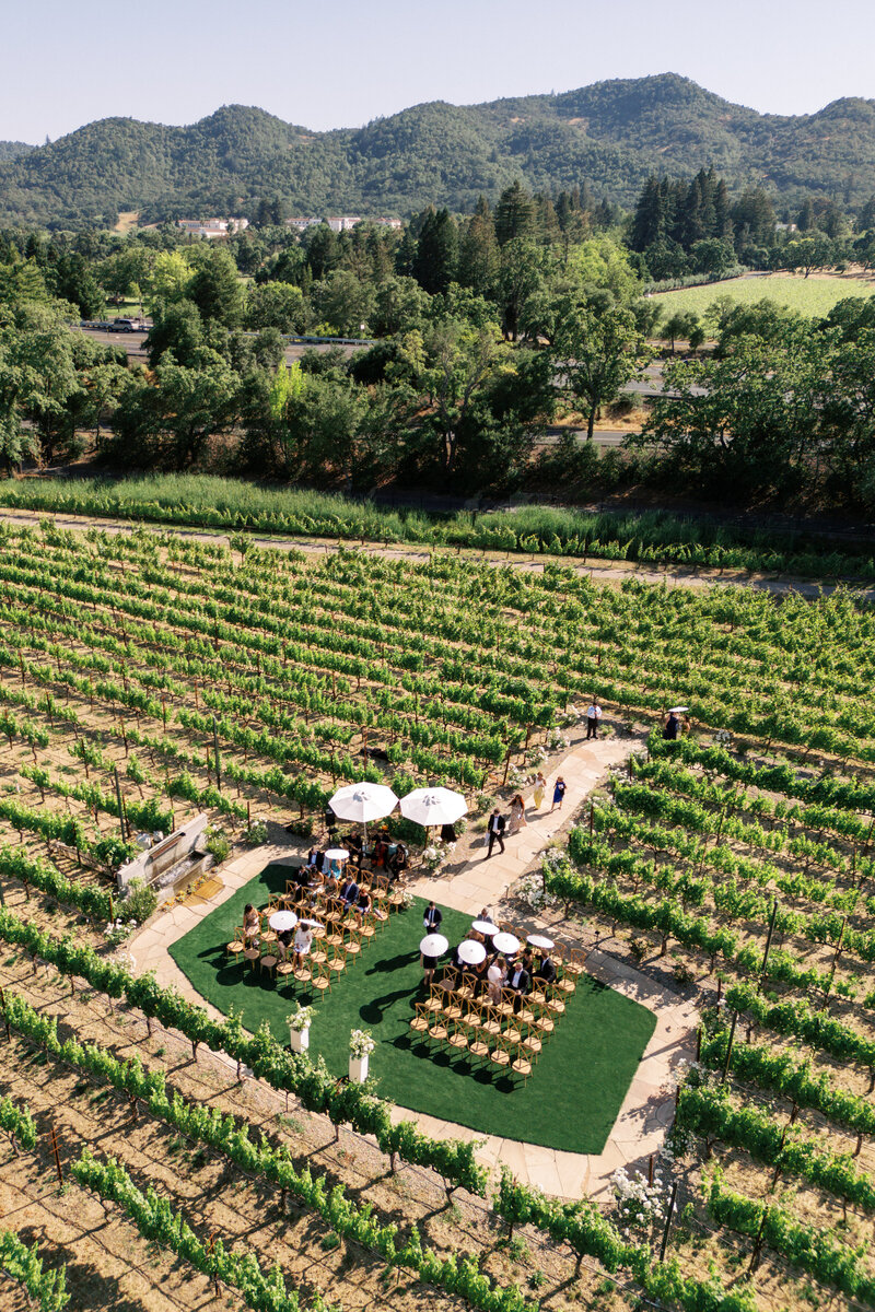 WILLOW-BEN-WEDDING-NAPA-PHOTOGRAPHER-1018