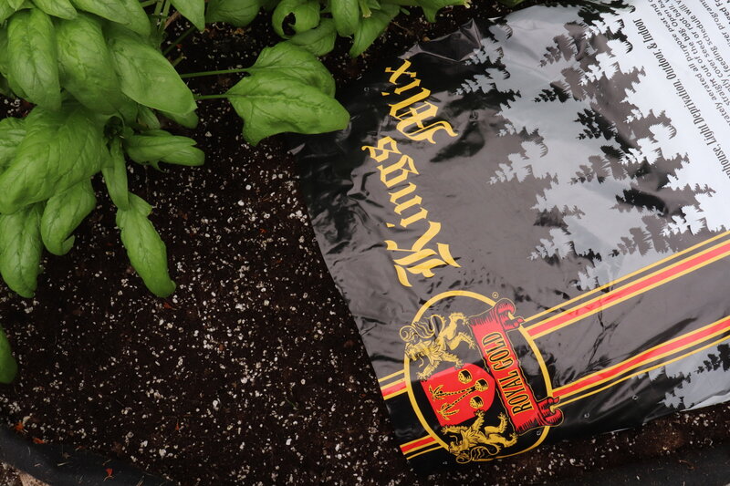 King's Mix added to a spinach bed