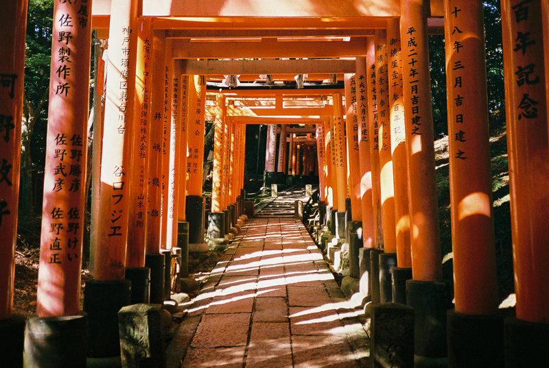 Red torii at Fushimi Inari Shrine