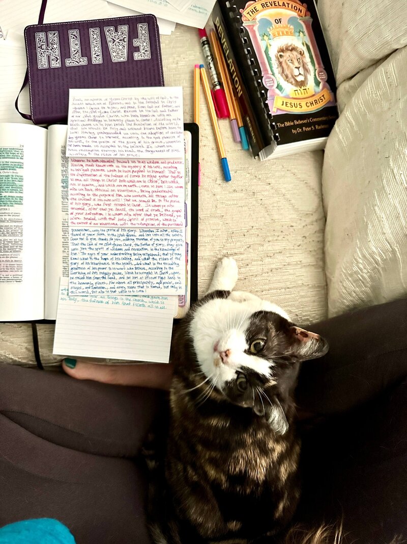 Godiva the cat helping Erika studying and memorize Ephesians 1 from the king james bible