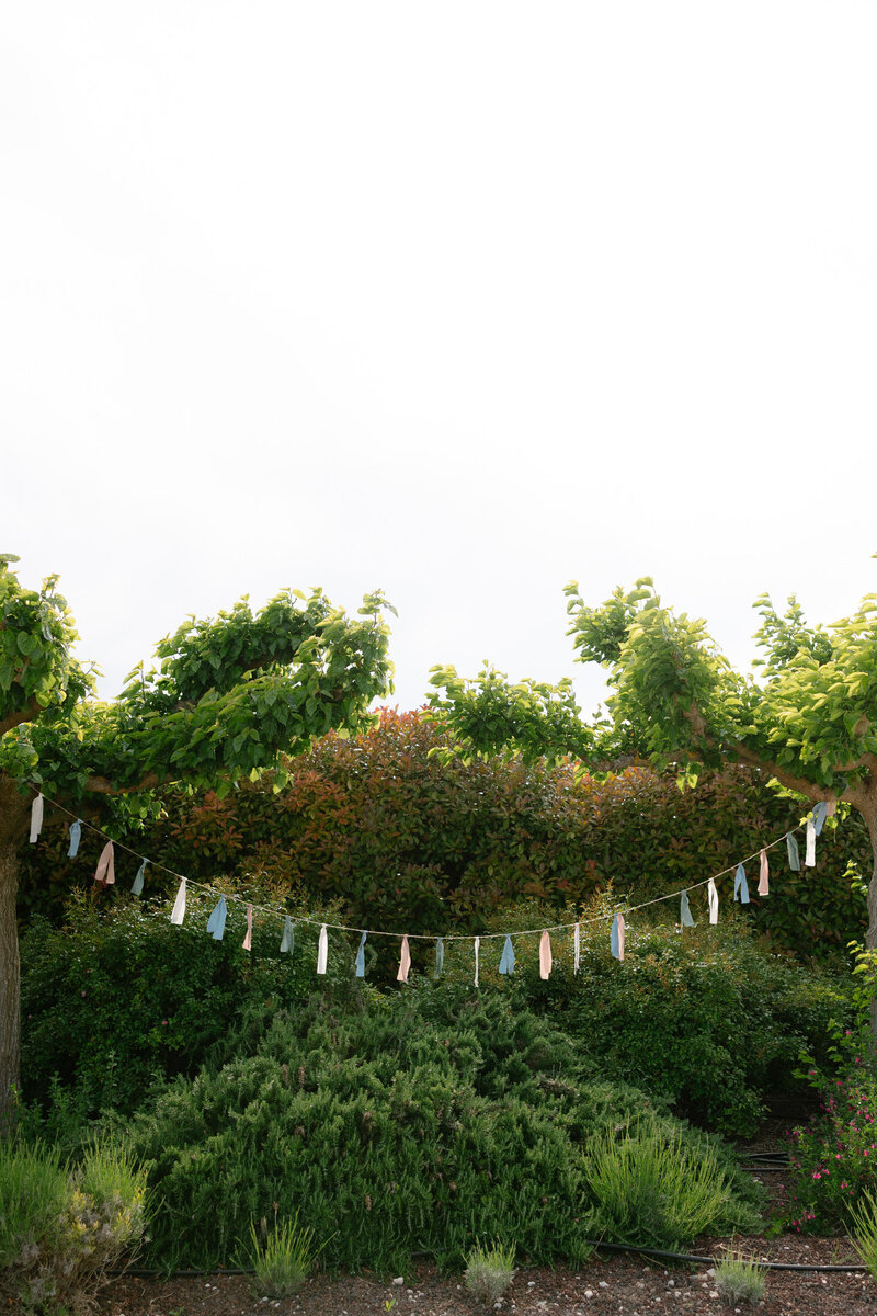 wedding domaine de sarson victoria le petit-61