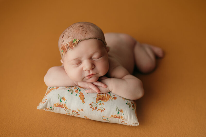 baby girl posed on pillow during newborn baby session in Tampa studio