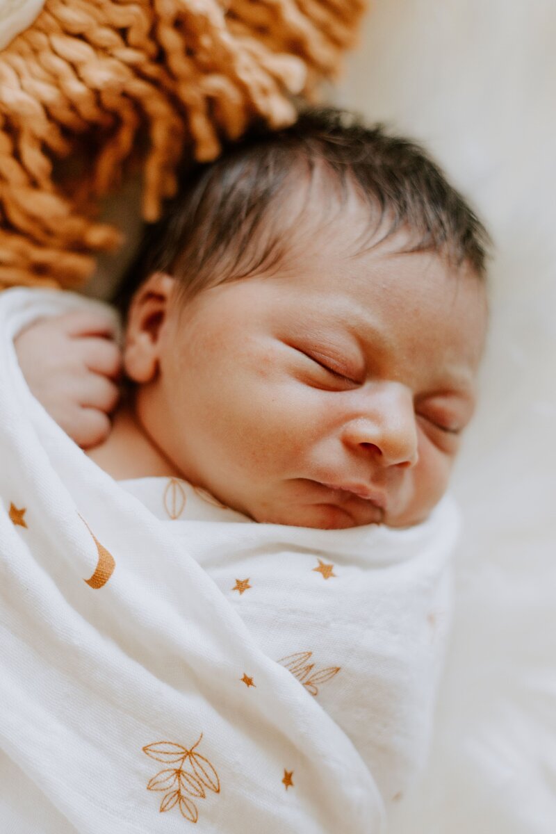 Stephanie Gardner Photography_Dallas Family Photographer-1668-min