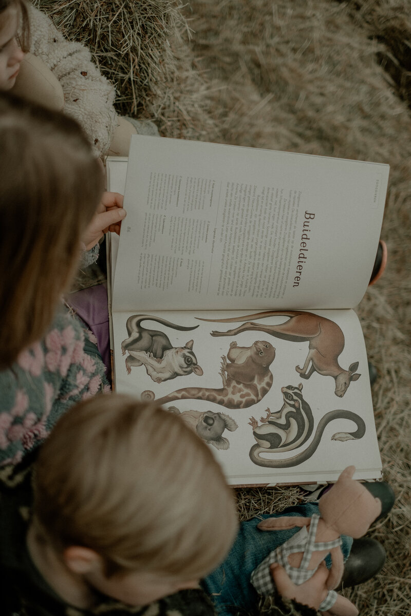 Familie fotograaf Harderwijk