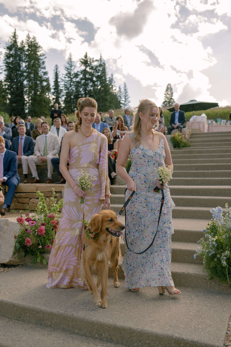 Bridesmaids walk the couple’s dog down the aisle at a stunning mountain-top wedding in Beaver Creek, Colorado.