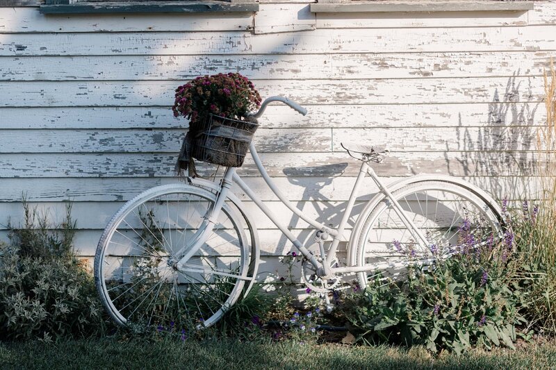 Edmonton Wedding Photos - Pine and Pond Wedding Venue (8)