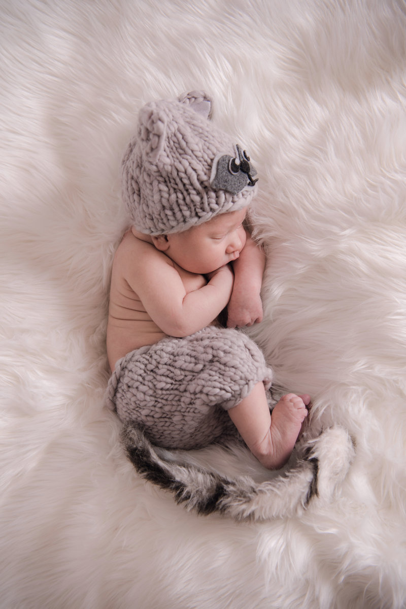 JandDstudio-baby-newborn-infant-studio-raccoon (2)