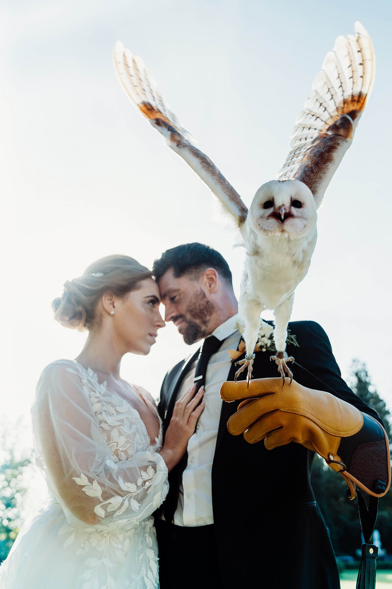 wedding-couple-owl-alexandra-house-hotel-sussex