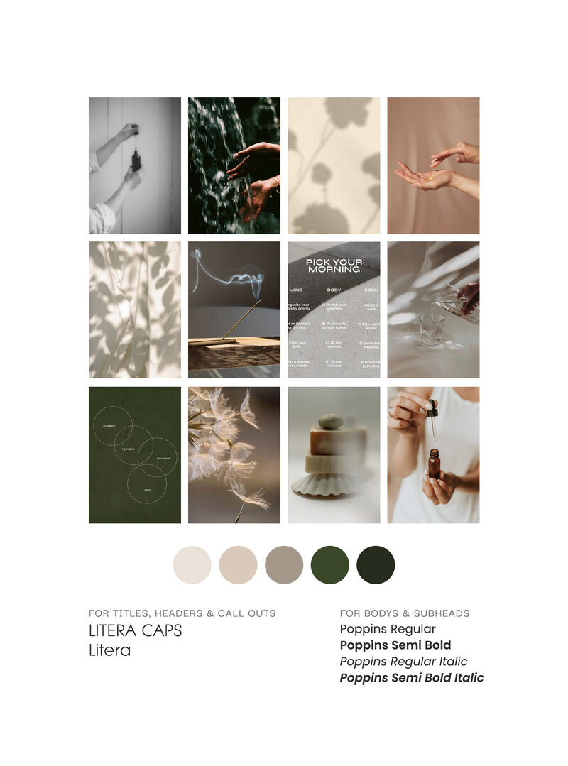 Moodboard for a naturopath private practice with dark greens and neutral tans and imagery representing a calm, holistic environment. 