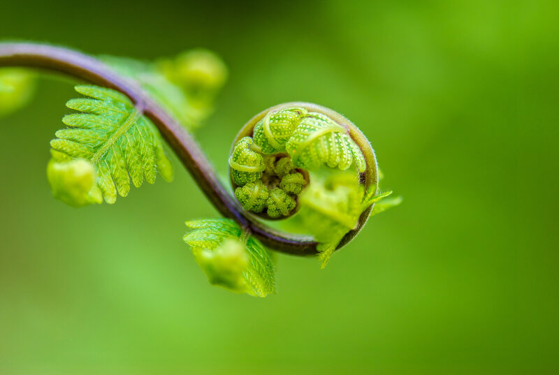 AdobeStock_254856937