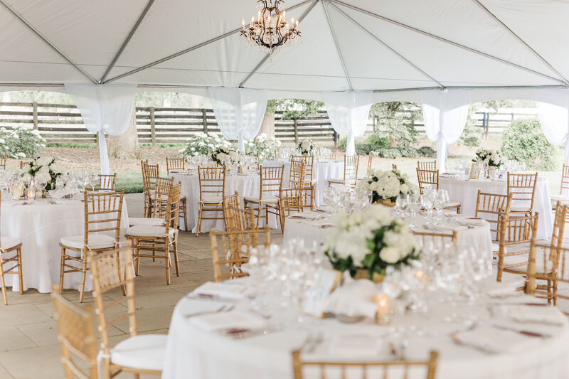 Hermitage Farm Wedding - Christopher and Caitlin-60