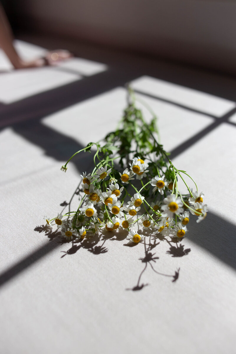 Daisies on top of white table