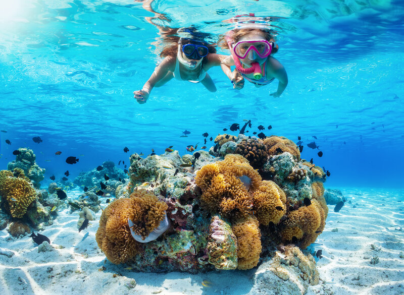 A woman standing in a school of friendly nurse sharks in crystal clear turquoise water on a bahamian beach