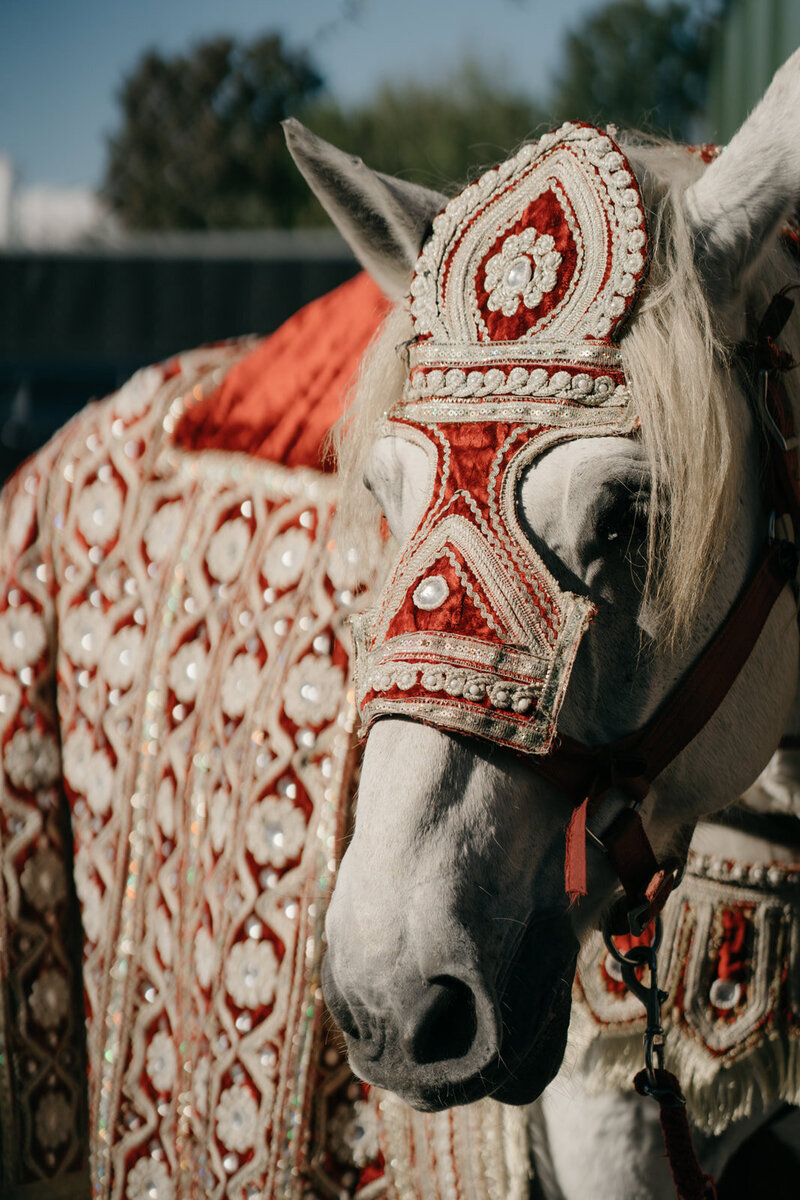 N&G_Ceremony Day-0237