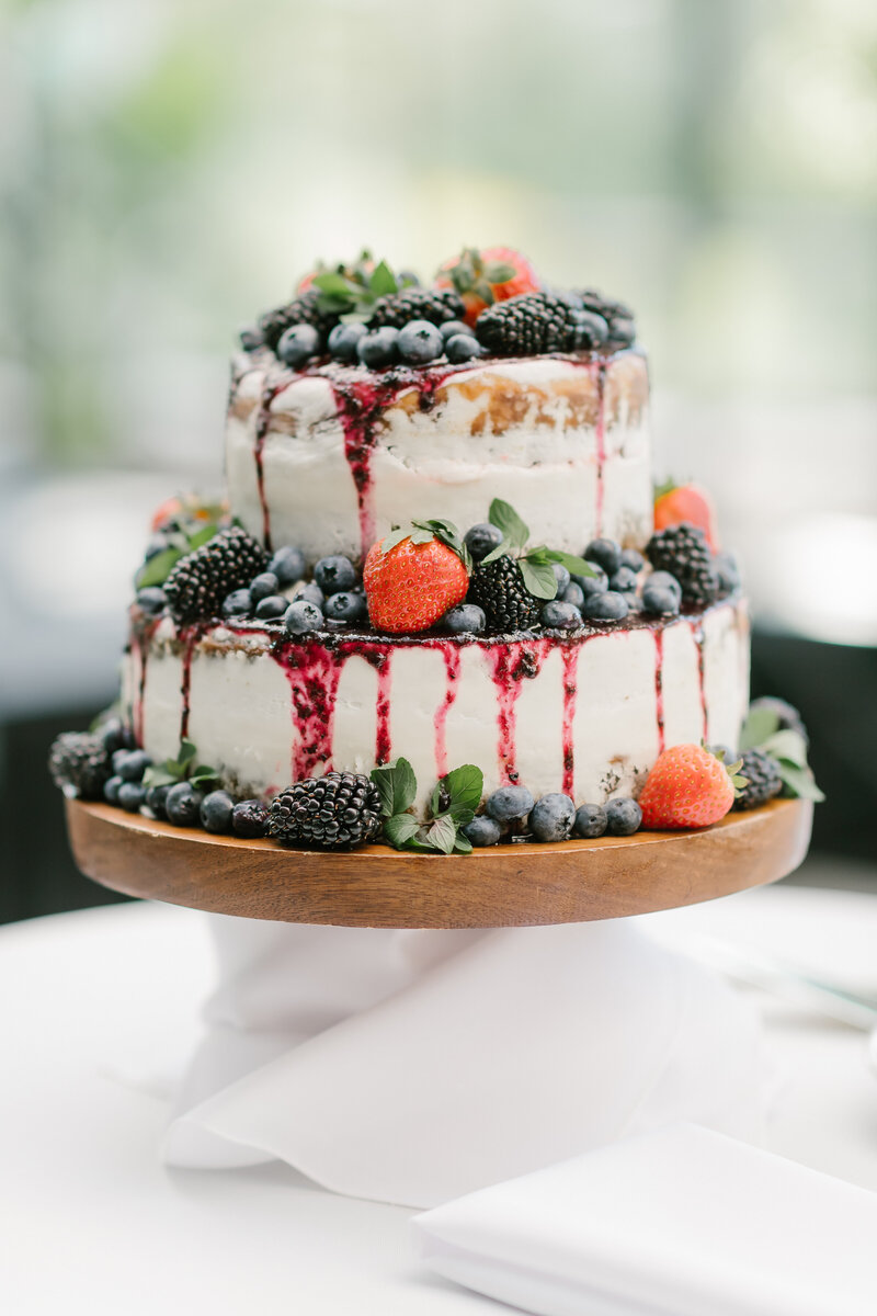 Rebecca Shehorn Photography Jennifer and Nathan Conservatory at Evergreen Wedding-756