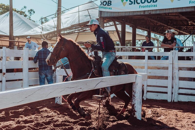 pexels-lucas-albino-3857585-8662557